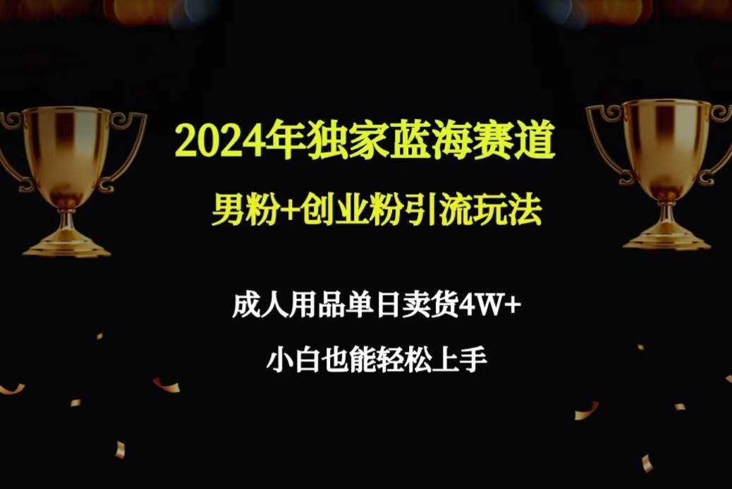 2024年独家蓝海赛道男粉+创业粉引流玩法，成人用品单日卖货4W+保姆教程燚龙网创-网创项目资源站-副业项目-创业项目-网赚项目燚龙网创