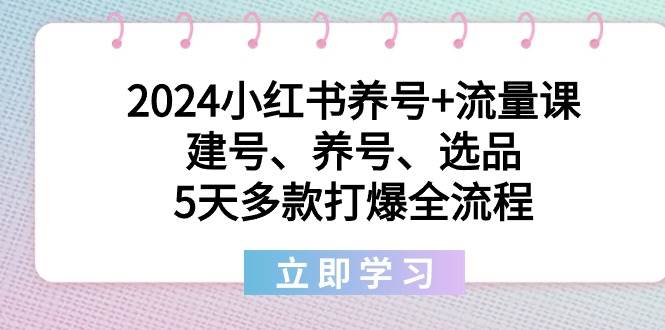 2024小红书养号+流量课：建号、养号、选品，5天多款打爆全流程燚龙网创-网创项目资源站-副业项目-创业项目-网赚项目燚龙网创