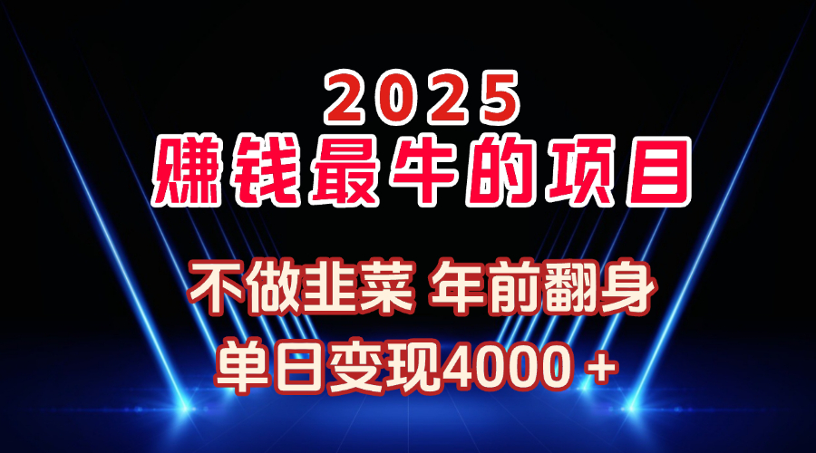 2025年赚钱最牛的项目 不做韭菜 年前翻身燚龙网创-网创项目资源站-副业项目-创业项目-网赚项目燚龙网创