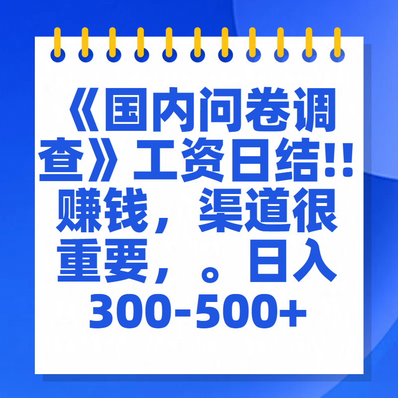 问卷调查答题，一个人在家也可以闷声发大财，小白一天2张，【揭秘】燚龙网创-网创项目资源站-副业项目-创业项目-网赚项目燚龙网创