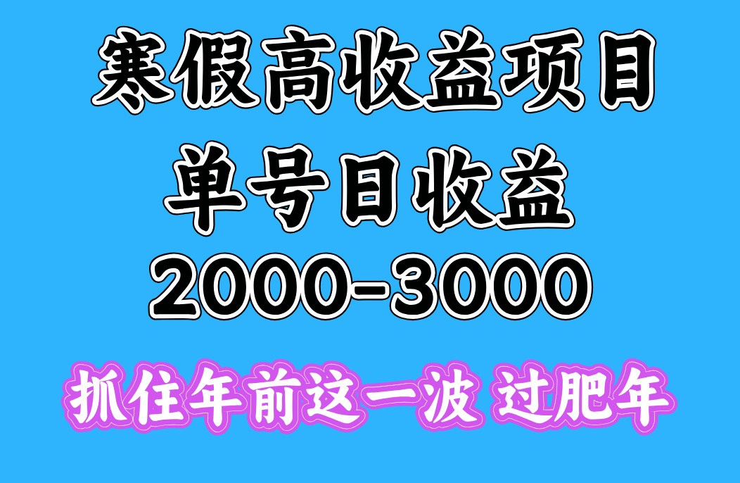 寒假期间一天收益2000-3000+，抓住年前这一波燚龙网创-网创项目资源站-副业项目-创业项目-网赚项目燚龙网创